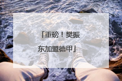 重磅！樊振东加盟德甲