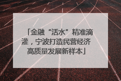 金融“活水”精准滴灌，宁波打造民营经济高质量发展新样本
