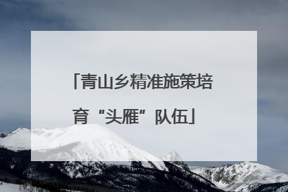 青山乡精准施策培育“头雁”队伍
