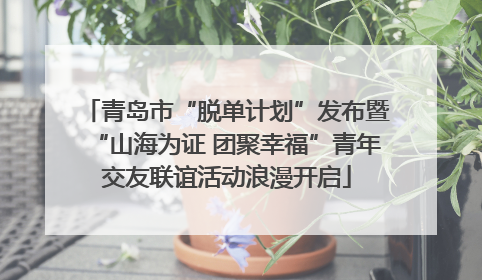 青岛市“脱单计划”发布暨“山海为证 团聚幸福”青年交友联谊活动浪漫开启