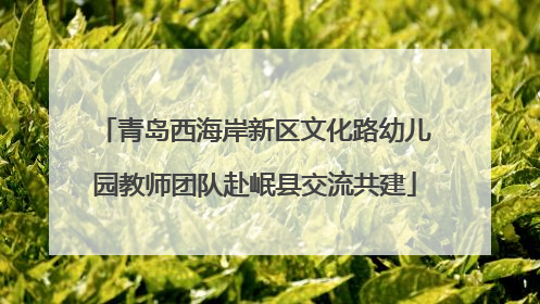 青岛西海岸新区文化路幼儿园教师团队赴岷县交流共建