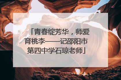 青春绽芳华，师爱育桃李——记邵阳市第四中学石琼老师