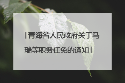 青海省人民政府关于马瑞等职务任免的通知