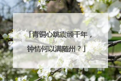 青铜心跳震颤千年，钟情何以满随州？