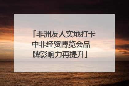 非洲友人实地打卡 中非经贸博览会品牌影响力再提升