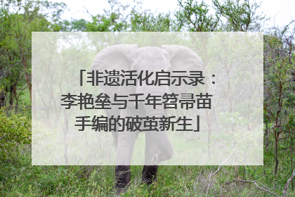 非遗活化启示录：李艳垒与千年笤帚苗手编的破茧新生
