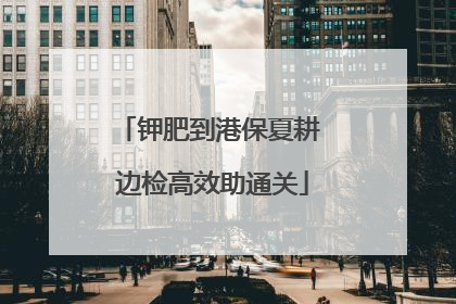 钾肥到港保夏耕 边检高效助通关
