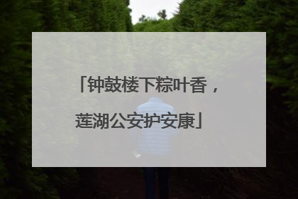 钟鼓楼下粽叶香，莲湖公安护安康