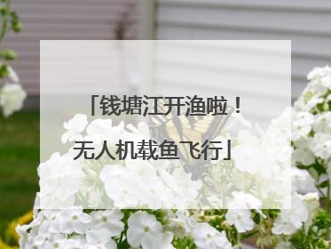 钱塘江开渔啦！无人机载鱼飞行