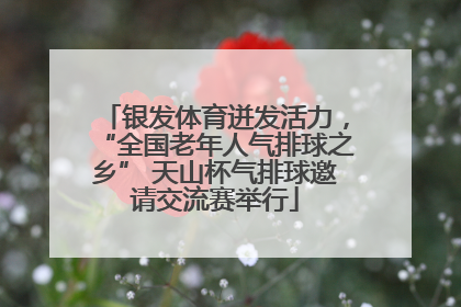 银发体育迸发活力，“全国老年人气排球之乡” 天山杯气排球邀请交流赛举行