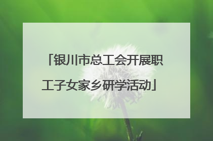 银川市总工会开展职工子女家乡研学活动