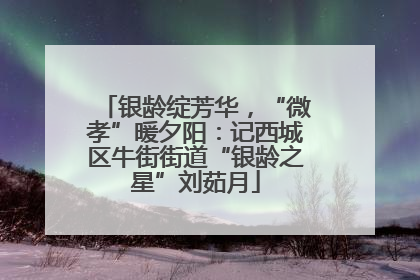 银龄绽芳华，“微孝”暖夕阳：记西城区牛街街道“银龄之星”刘茹月