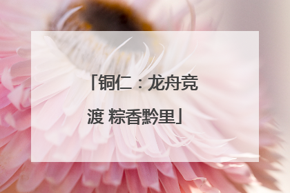 铜仁：龙舟竞渡 粽香黔里