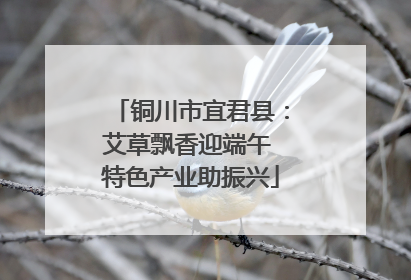 铜川市宜君县：艾草飘香迎端午 特色产业助振兴