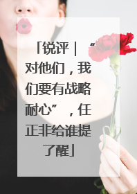 锐评｜“对他们，我们要有战略耐心”，任正非给谁提了醒