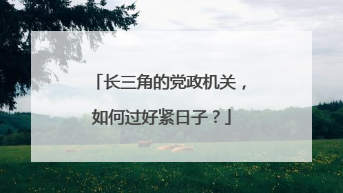 长三角的党政机关，如何过好紧日子？