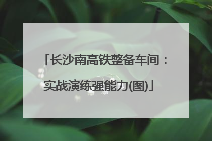 长沙南高铁整备车间：实战演练强能力(图)