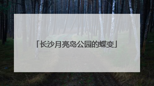 长沙月亮岛公园的蝶变