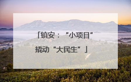 镇安：“小项目”撬动“大民生”