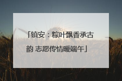 镇安:粽叶飘香承古韵 志愿传情暖端午