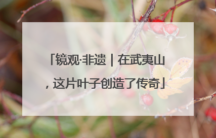 镜观·非遗｜在武夷山，这片叶子创造了传奇