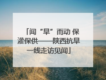 闻“旱”而动 保灌保供——陕西抗旱一线走访见闻
