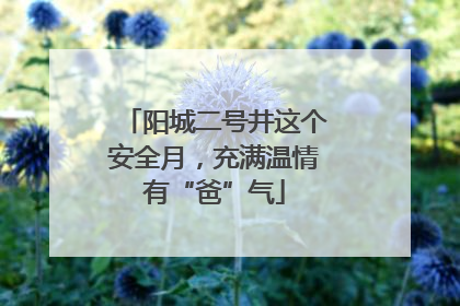 阳城二号井这个安全月，充满温情有“爸”气