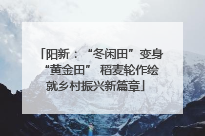 阳新：“冬闲田”变身“黄金田” 稻麦轮作绘就乡村振兴新篇章