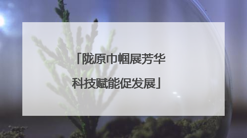 陇原巾帼展芳华 科技赋能促发展