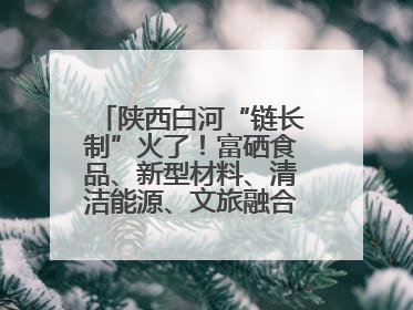 陕西白河“链长制”火了！富硒食品、新型材料、清洁能源、文旅融合齐发力
