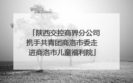 陕西交控商界分公司携手共青团商洛市委走进商洛市儿童福利院