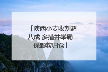 陕西小麦收割超八成 多措并举确保颗粒归仓