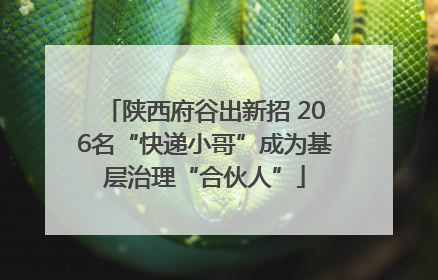 陕西府谷出新招 206名“快递小哥”成为基层治理“合伙人”