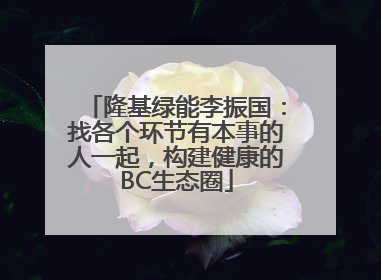 隆基绿能李振国：找各个环节有本事的人一起，构建健康的BC生态圈