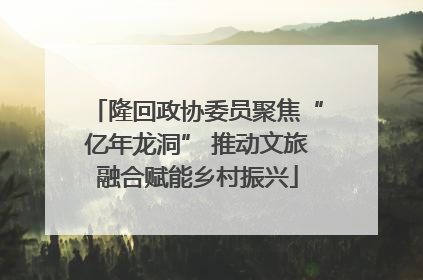隆回政协委员聚焦“亿年龙洞” 推动文旅融合赋能乡村振兴