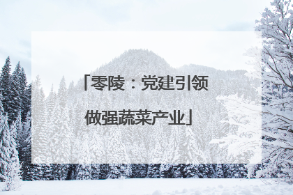 零陵：党建引领 做强蔬菜产业
