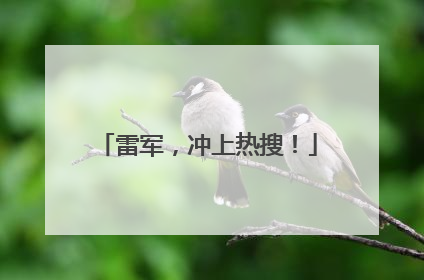 雷军，冲上热搜！