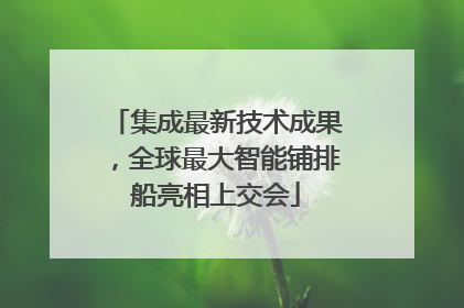 集成最新技术成果，全球最大智能铺排船亮相上交会