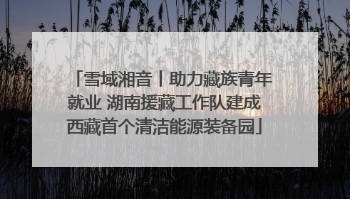 雪域湘音丨助力藏族青年就业 湖南援藏工作队建成西藏首个清洁能源装备园