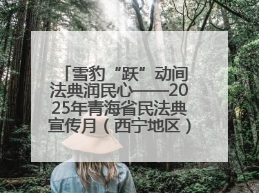 雪豹“跃”动间 法典润民心——2025年青海省民法典宣传月（西宁地区）主场活动见闻