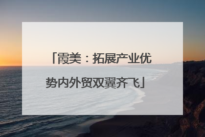 霞美：拓展产业优势内外贸双翼齐飞