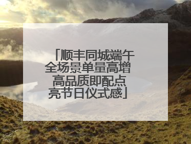 顺丰同城端午全场景单量高增 高品质即配点亮节日仪式感