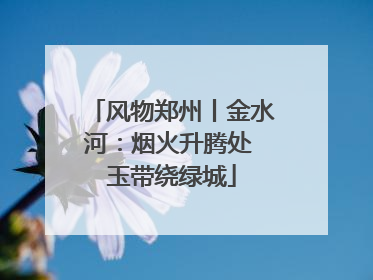 风物郑州丨金水河：烟火升腾处 玉带绕绿城