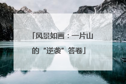 风景如画：一片山的“逆袭”答卷