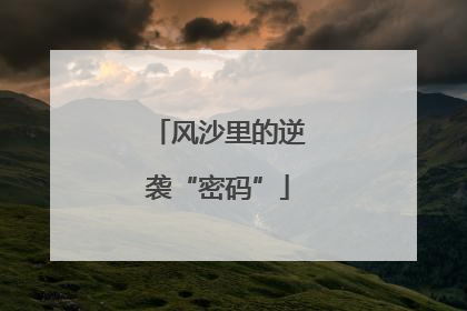 风沙里的逆袭“密码”