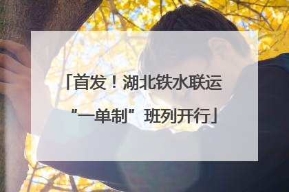 首发！湖北铁水联运“一单制”班列开行