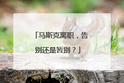 马斯克离职，告别还是暂别？