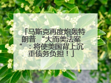 马斯克再度炮轰特朗普 “大而美法案”：将使美国背上沉重债务负担！