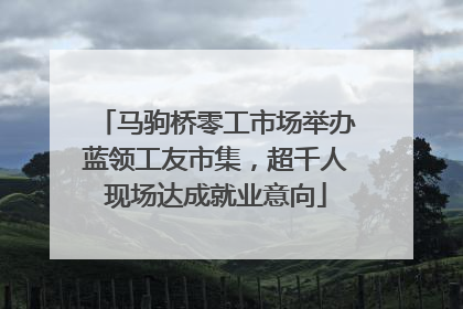 马驹桥零工市场举办蓝领工友市集，超千人现场达成就业意向