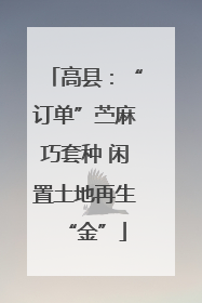 高县：“订单”苎麻巧套种 闲置土地再生“金”